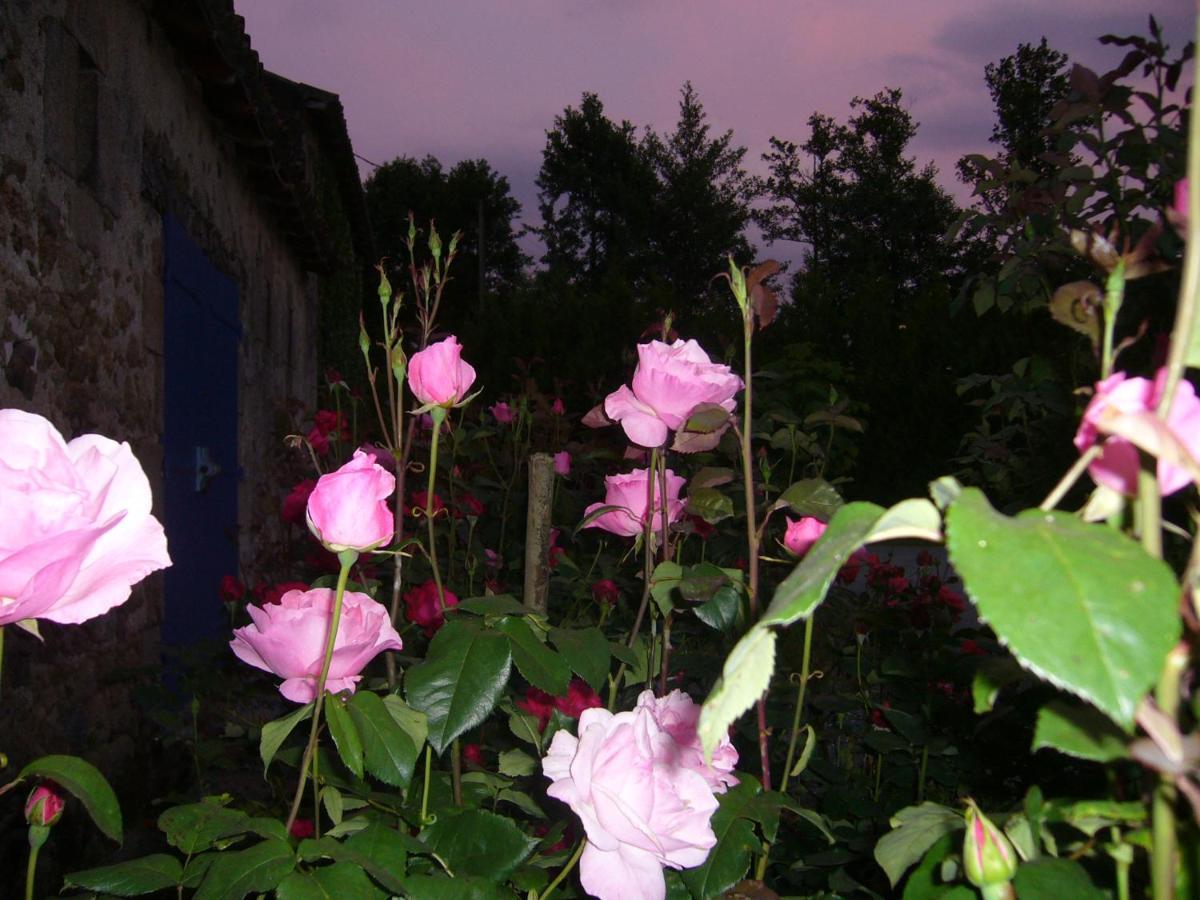 La Petite Vallee La Chapelle-Largeau ภายนอก รูปภาพ