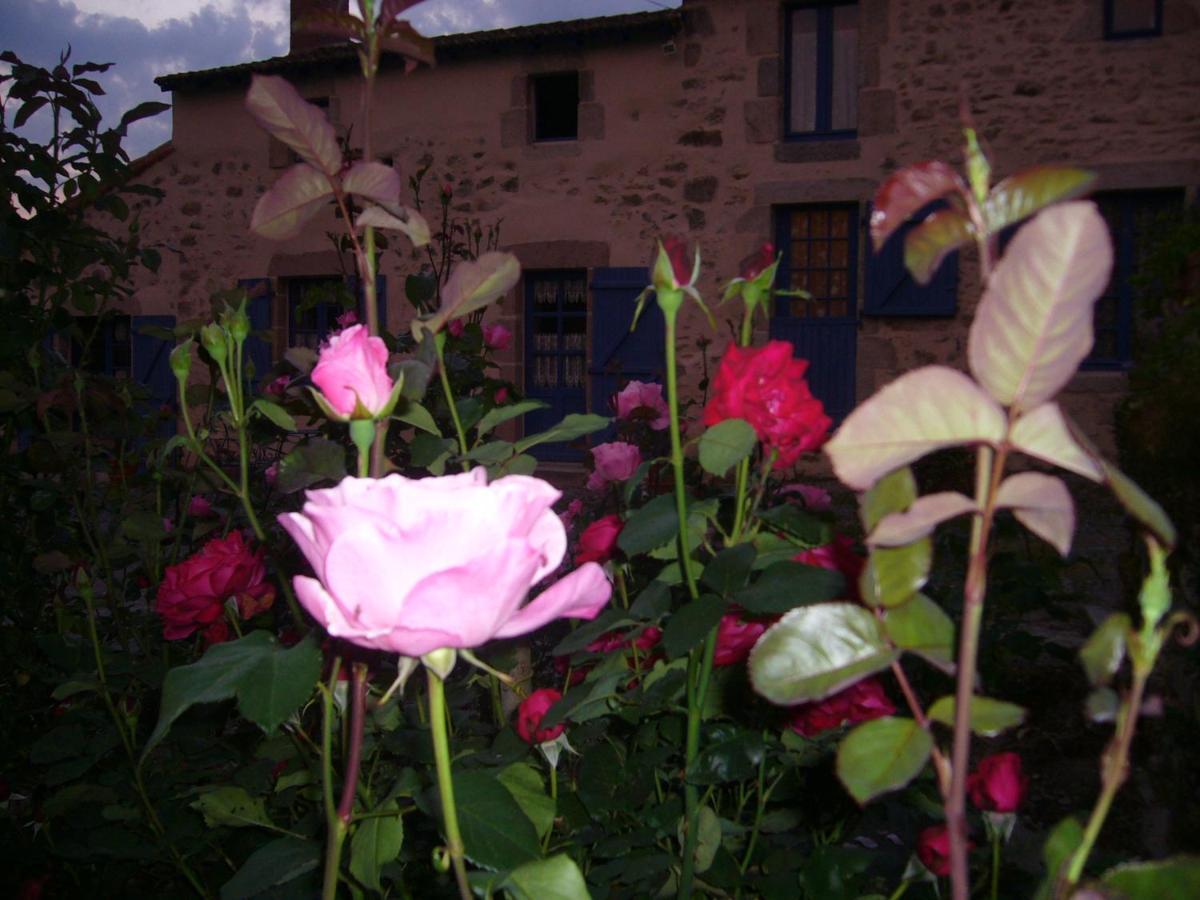 La Petite Vallee La Chapelle-Largeau ภายนอก รูปภาพ